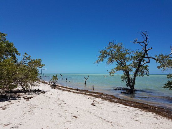 Isla Holbox